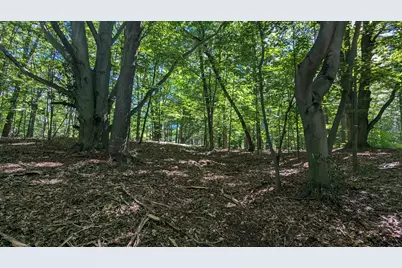 V/L E Kissing Oaks Trail #164, Custer, MI 49405 - Photo 7