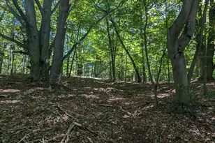 V/L E Kissing Oaks Trail, Custer, MI 49405 - Photo 7