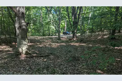 V/L E Kissing Oaks Trail #164, Custer, MI 49405 - Photo 15