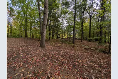 V/L E Kissing Oaks Trail #164, Custer, MI 49405 - Photo 5