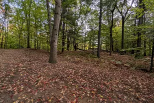 V/L E Kissing Oaks Trail, Custer, MI 49405 - Photo 5