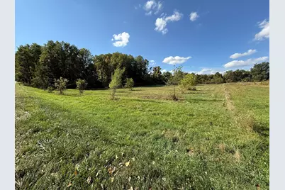 Vl 4.59Ac. Cr 215, Bangor, MI 49013 - Photo 7