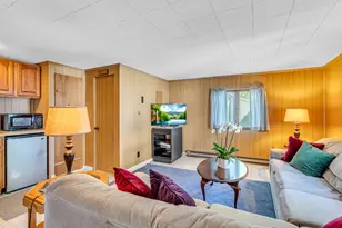 1620 Cottage Dr, Manitou Beach, MI 49253 - Photo 85