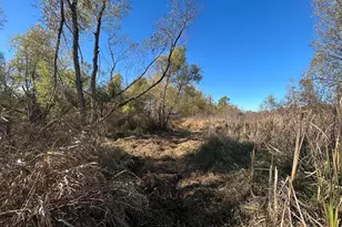 928 Flint Rd, Coldwater, MI 49036 - Photo 93