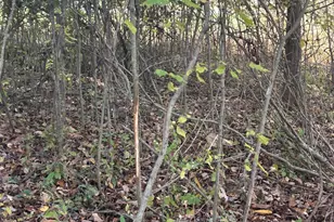 928 Flint Rd, Coldwater, MI 49036 - Photo 81