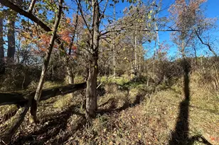 928 Flint Rd, Coldwater, MI 49036 - Photo 87