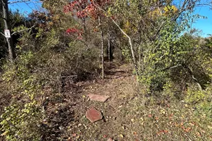 928 Flint Rd, Coldwater, MI 49036 - Photo 85