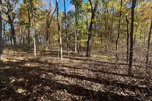 928 Flint Rd, Coldwater, MI 49036 - Photo 89