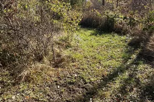 928 Flint Rd, Coldwater, MI 49036 - Photo 75