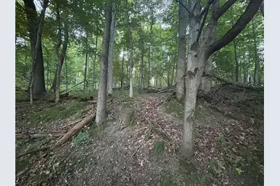 11500 Goose Lake Road, Jonesville, MI 49250 - Photo 9