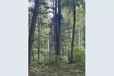 11500 Goose Lake Road, Jonesville, MI 49250 - Photo 3