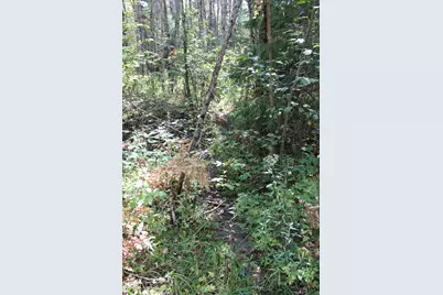 9850 Elevere Road, Lachine, MI 49753 - Photo 63