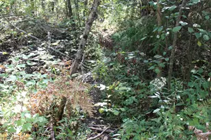 9850 Elevere Rd, Lachine, MI 49753 - Photo 63