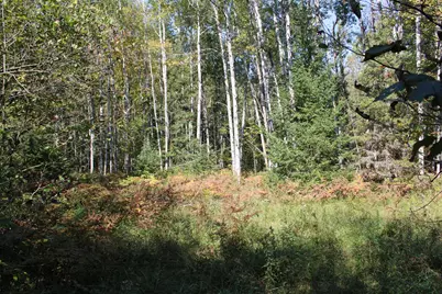 9850 Elevere Road, Lachine, MI 49753 - Photo 69