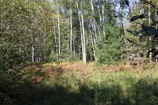 9850 Elevere Rd, Lachine, MI 49753 - Photo 69