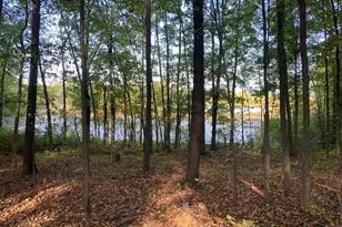 9540 Vincent Ave SE, Alto, MI 49302 - Photo 1