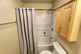 6039 W Morris Lake Rd, Mears, MI 49436 - Photo 37