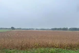 S Farrand, Colon, MI 49040 - Photo 1