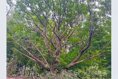 V/L Spruce Ridge Road #13, Bear Lake, MI 49614 - Photo 21