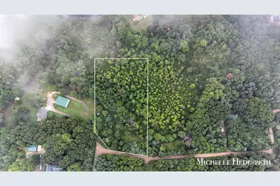 Spruce Hollow Drive #Parcel B, Middleville, MI 49333 - Photo 3