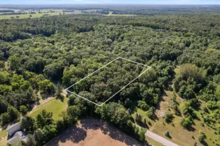 Vl Par 1 98th St, Howard City, MI 49329 - Photo 1