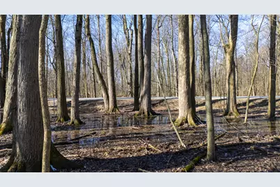 Vl Doster Road, Lot#Wp001, Plainwell, MI 49080 - Photo 23