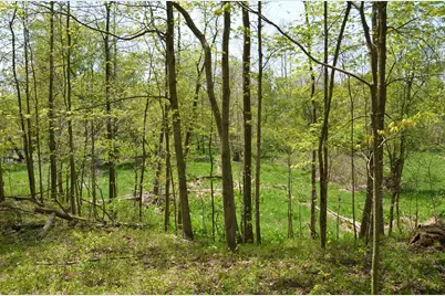 2255 River Road, Hastings, MI 49058 - Photo 57