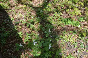 2255 River Rd, Hastings, MI 49058 - Photo 83