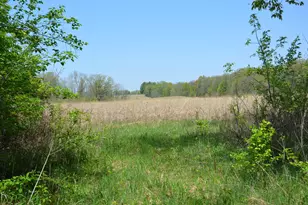 2255 River Rd, Hastings, MI 49058 - Photo 57