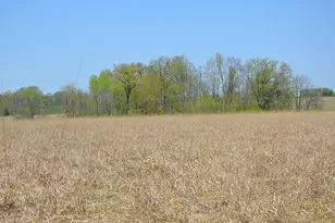 2255 River Rd, Hastings, MI 49058 - Photo 53