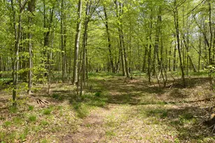 2255 River Rd, Hastings, MI 49058 - Photo 83