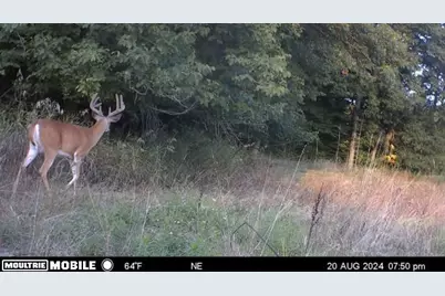 2255 River Road, Hastings, MI 49058 - Photo 39