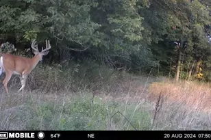 2255 River Rd, Hastings, MI 49058 - Photo 39