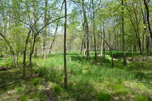 2255 River Rd, Hastings, MI 49058 - Photo 65