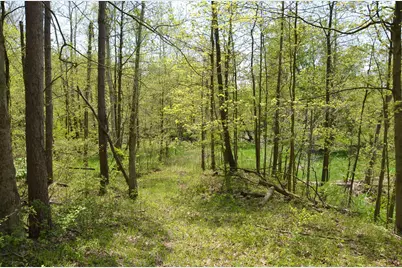 2255 River Road, Hastings, MI 49058 - Photo 59