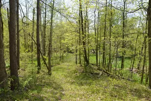 2255 River Rd, Hastings, MI 49058 - Photo 59
