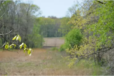 2255 River Road, Hastings, MI 49058 - Photo 87