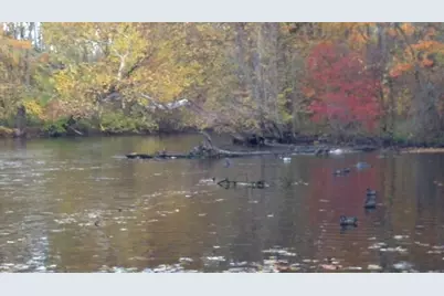 2255 River Road, Hastings, MI 49058 - Photo 37