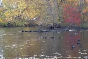 2255 River Rd, Hastings, MI 49058 - Photo 37