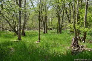 2255 River Rd, Hastings, MI 49058 - Photo 63