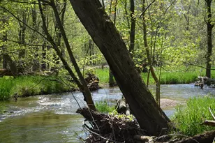 2255 River Rd, Hastings, MI 49058 - Photo 61