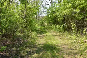 2255 River Rd, Hastings, MI 49058 - Photo 55