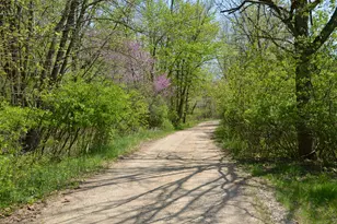 2255 River Rd, Hastings, MI 49058 - Photo 45