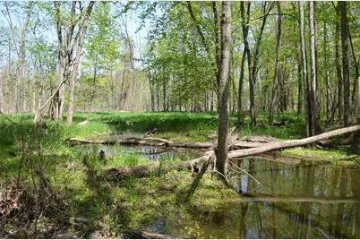 2255 River Road, Hastings, MI 49058 - Photo 67