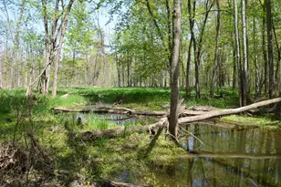 2255 River Rd, Hastings, MI 49058 - Photo 67