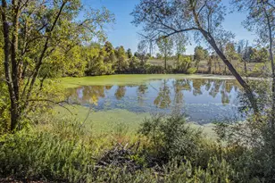 11480 N Adams Rd, North Adams, MI 49262 - Photo 7