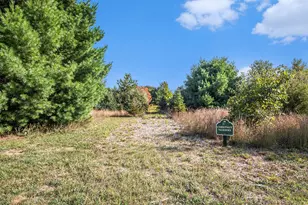 1985 68th St, Fennville, MI 49408 - Photo 43