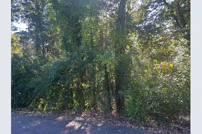 V/L Altavista #Lot 11, Battle Creek, MI 49017 - Photo 1