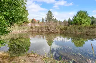 11124 E M 55, Cadillac, MI 49601 - Photo 37