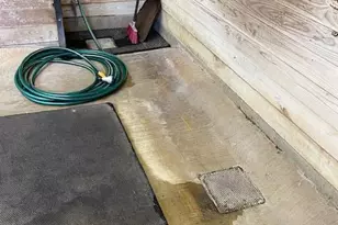 2280 Swan Rd, Dansville, MI 48819 - Photo 35